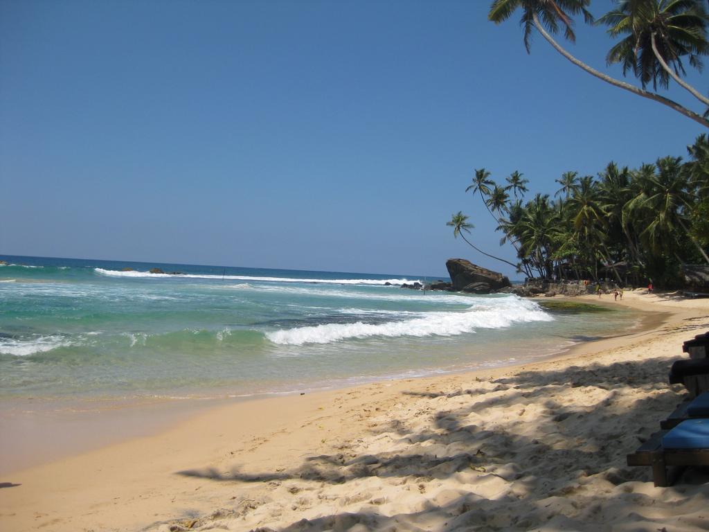 Lazy Lizard Hotel Galle Exterior photo